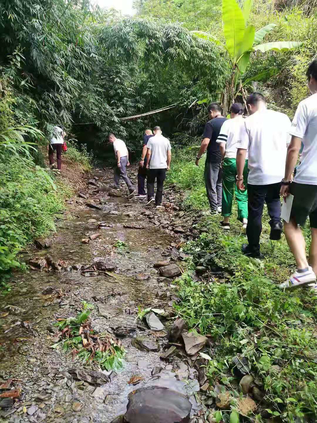 微信图片_20190902231909.jpg