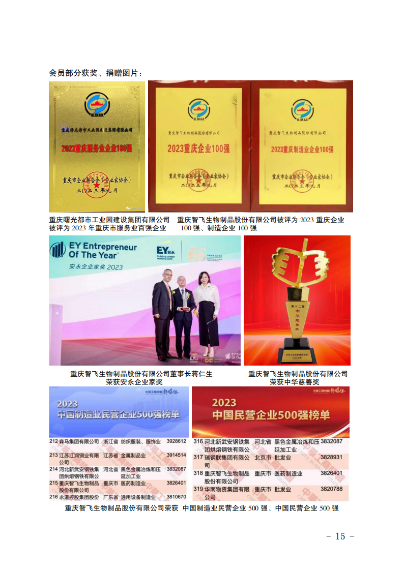 2023年工作总结_14.png