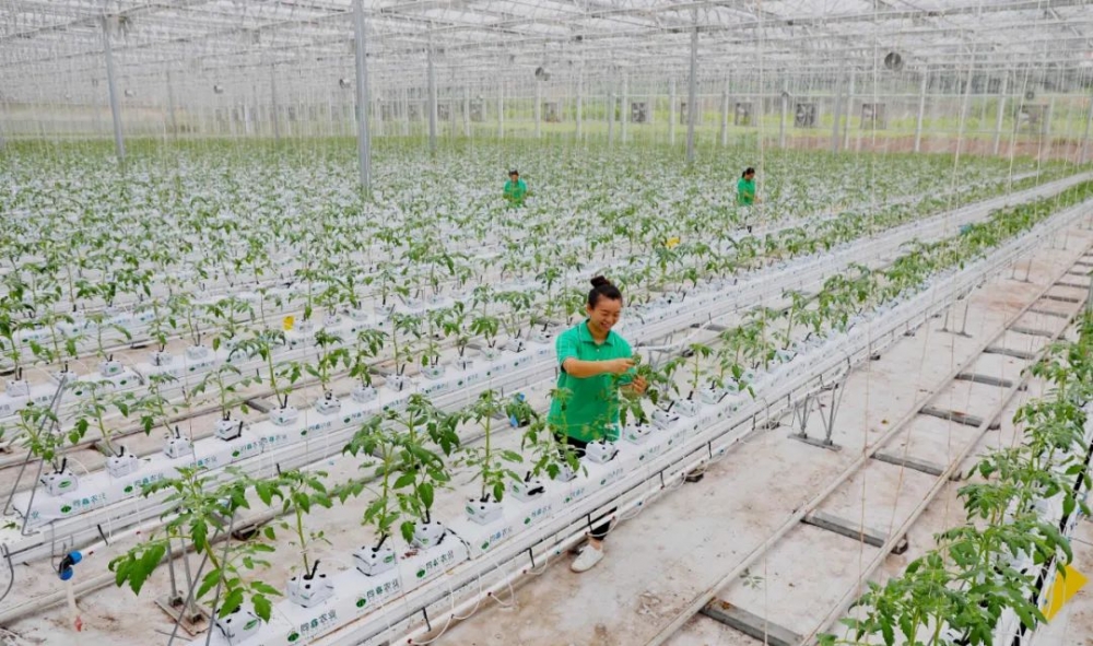 重庆市人民政府关于印发重庆市推进农业农村现代化“十四五”规划（2021—2025年）的通知【图片解读】