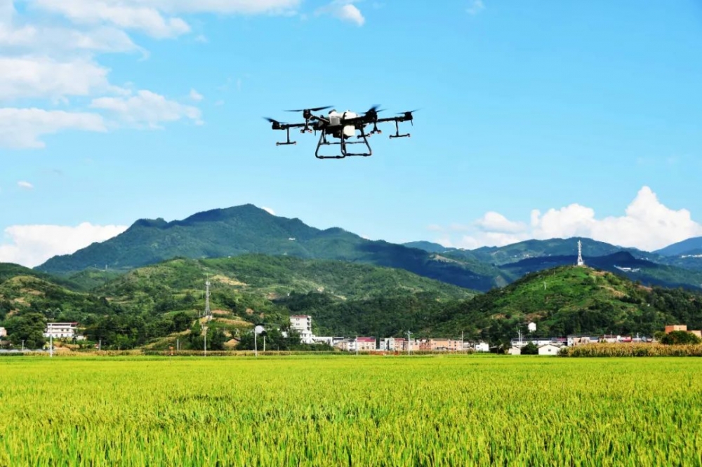 重庆市人民政府关于印发重庆市推进农业农村现代化“十四五”规划（2021—2025年）的通知【图片解读】