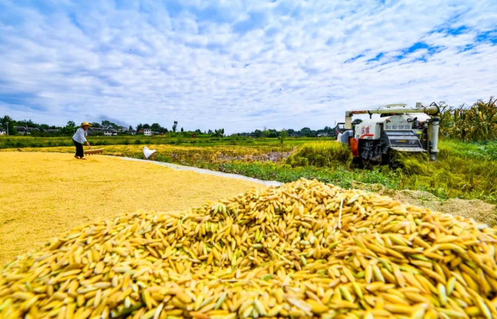 重庆市人民政府关于印发重庆市推进农业农村现代化“十四五”规划（2021—2025年）的通知【图片解读】